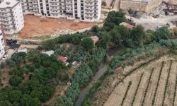 Kanalizasyonu akarsuya bağladılar, mahalle sakinleri sokağa çıkamıyor