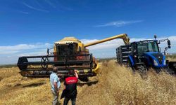 Kırklareli'nde hasat döneminde biçerdöver denetim