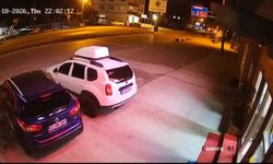 Köpeğe çarpmamak için yaptığı manevra hayatına mal oldu