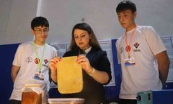 Liselilerin kombucha mantarından elde ettiği biyomateryal yanık tedavisinde kullanılabilecek