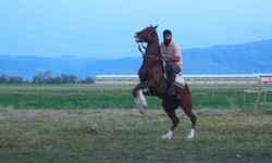 'Mehmet: Fetihler Sultanı' oyuncusu Mustafa Kaya, Muş'ta film atlarını hazırladı