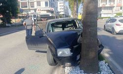 Palmiyeye çarpan Tofaş hurdaya döndü: 4 genç yaralandı
