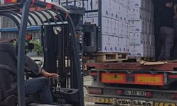 Samsun'dan Fildişi Sahili'ne ilk ihracat