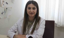 Sigarayı bırakmak isteyenler bu polikliniklere geliyor