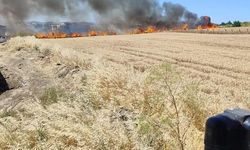 Silivri'de çıkan iki tarla yangını söndürüldü