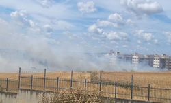 Silivri'de otluk alanda yangın