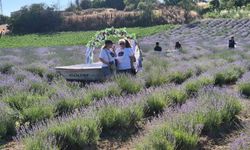 Tekirdağ'da Lavanta Şenliği başladı