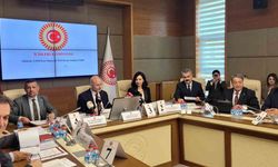 Türk Kızılay'ına ilişkin kanun teklifi komisyonda