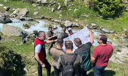 Uludağ'ın eteklerinde ahududu ve böğürtlen için sulama projesi