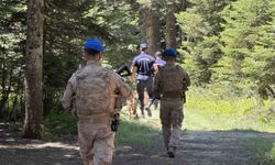 Uludağ'ın zümrüt yeşili ormanları Jandarma'ya emanet