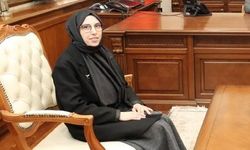 Vali yardımcıları ve kaymakamlar kararnamesi yayınlandı