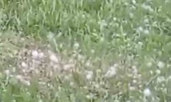 Van'da ceviz büyüklüğünde dolu yağışı