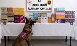 Mardin'de 2 Milyon Liralık Kaçak Tütün ve Sigara Ele Geçirildi