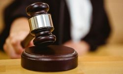 Arsayı alınca dedesine bakmayı bıraktı, Yargıtay şoku yaşattı