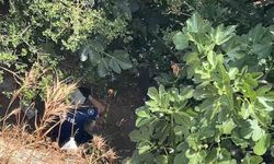 10 metreden düşen kadın, yardıma gelen polislerden kaçtı