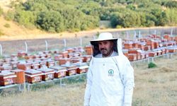 Abadan Bal Ormanı'nda yeni sezon bal hasadı