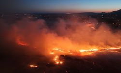 Adıyaman'da ormanlık alanda yangın