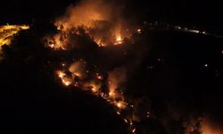 Adıyaman'daki orman yangınıyla ilgili bir şahıs tutuklandı