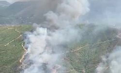 Alanya Sapadere Kanyonu'nda ormanlık alanda yangın