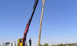 Anız yangınları enerji altyapısını da tehdit ediyor