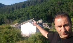 Anne ayı ve 3 yavrusu arazide görüntülendi