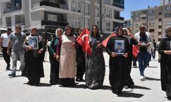 Anne Nazlı Sancar: 'İki haftanın içinde iki evladımız geldi'