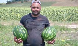 Babaeski'nin doğal lezzeti Erikleryurdu karpuzu görücüye çıktı