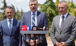 Bakan Çiftçi: 'Türkiye'de sahipsiz sokak hayvanlarının yüzde 92,35'i artık barınaklarda'