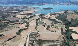 Baraj çevresi bal ormanına dönüşüyor