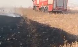Batman'da 150 dönümde etkili olan anız yangını söndürüldü