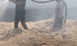 Bingöl'de arazi yangını: 2 bin dönüm arazi zarar gördü