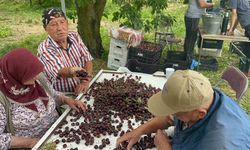 Coğrafi işaretli Akşehir ve Sultandağı kirazlarında tarihi rekor kırıldı