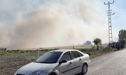 Çorum'da tarlada yangın çıktı