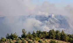 Denizli'deki orman yangını kısmen kontrol altına alındı