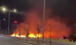 Diyarbakır'da geceyi gündüze çeviren yangın