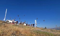 Diyarbakır'da keneye karşı doğal mücadele