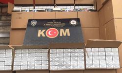 Düzce'de kaçakçılara göz açtırılmıyor