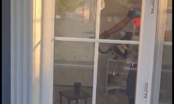 Eve giren yılanı itfaiye ekipleri çıkarttı