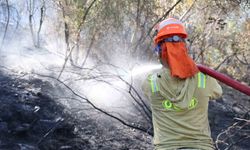 Fethiye'deki yangında zaman zaman yaşanan alevlenmelere ekipler anında müdahale ediyor