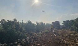 Gaziantep'te çıkan orman yangını havadan ve karadan müdahaleyle söndürüldü