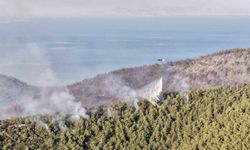 Gün ağarınca yangının boyutu ortaya çıktı: Alevler Kaplankaya'ya dayandı, bin 120 kişi tahliye edildi