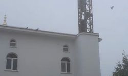 Güvercin yuvası minare yıkımını erteledi