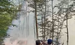 Karacabey'de orman yangını
