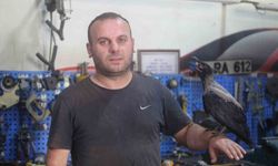 Karga ile tamircinin sıradışı dostluğu...Tamirhanede birlikte çalışıyorlar