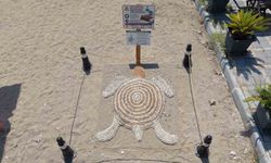 Kemer'de 'Dumansız Plaj' uygulaması başladı
