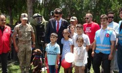 Kilis'te 15 Temmuz'un 10. yılında Gençlik Şöleni düzenlendi