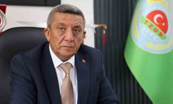 Kırşehir'de hasadın yüzde 65'i tamamlandı