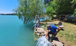 Manavgat'ta 400 bin balık yavrusu baraj gölünde bırakıldı