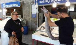 Mersin'de dev yılan balığı tezgahta ilgi odağı oldu