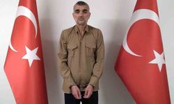 MİT'ten DEAŞ'a operasyon: 'Sarı bültenle aranan Güler yakalanarak Türkiye'ye getirildi'